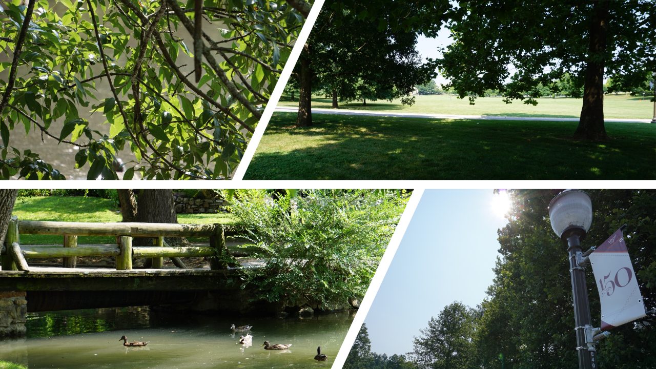 A collage of photos of the Virginia Tech campus, including trees and swimming ducks